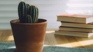 お読みいただいた皆さんからの声（７）