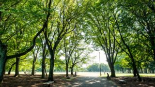 5月の散歩会＠小金井公園