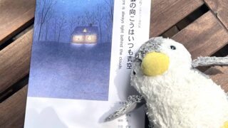 不登校の「その先」が知りたい方へ 。『雲の向こうはいつも青空」Vol.12 本日から予約受付開始しました！